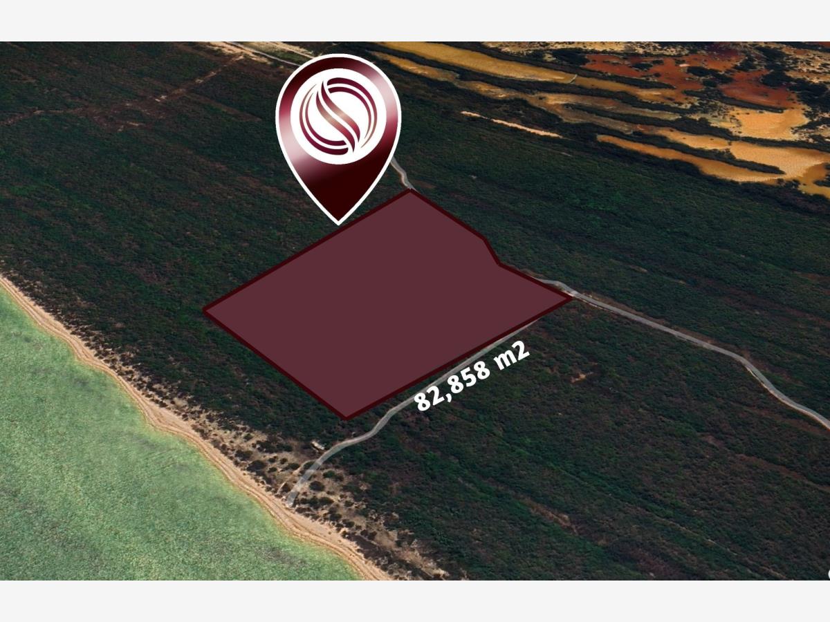 Terreno en venta en Celestun, Celestún — foto 1 de 16