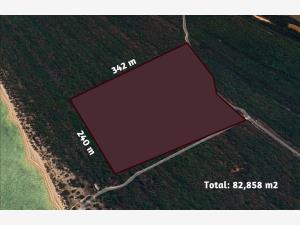 Terreno en venta en Celestun, Celestún — foto 2 de 16