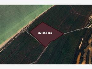 Terreno en venta en Celestun, Celestún — foto 3 de 16