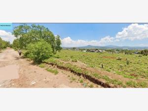 Terreno en venta en San Lucas Xolox, Tecámac — foto 2 de 9