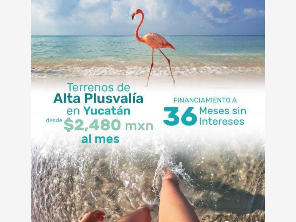Terreno en venta en Celestun, Celestún — foto 1 de 5