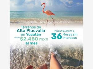 Terreno en venta en Celestun, Celestún, Yucatán