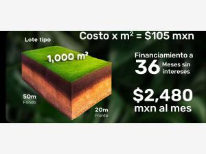 Terreno en venta en Celestun, Celestún — foto 2 de 5