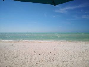 Terreno en venta en Celestun, Celestún — foto 3 de 5