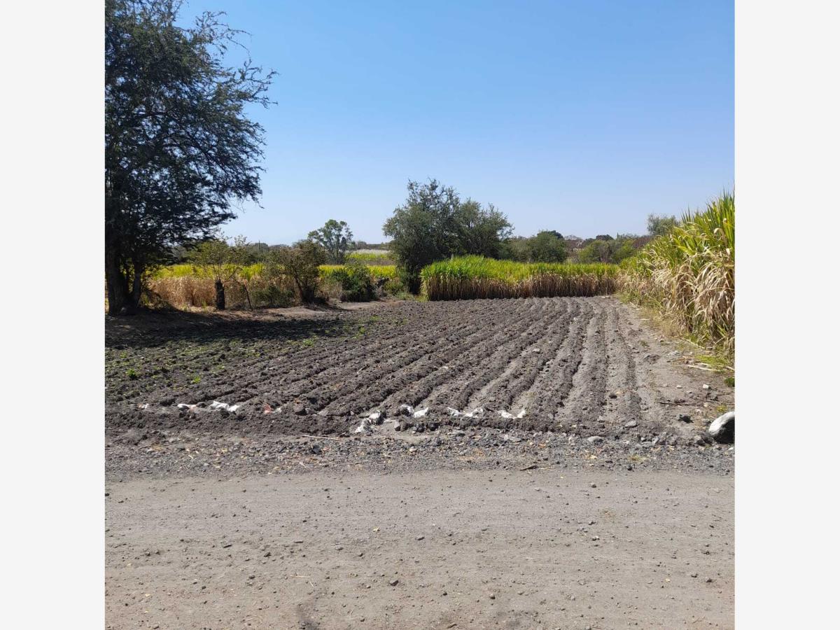 Terreno en venta en El Crucero de Atlacholoaya, Xochitepec — foto 1 de 4