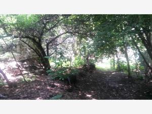 Terreno en venta en Jaime Torres Bodet, Tláhuac — foto 2 de 10
