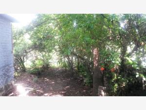 Terreno en venta en Jaime Torres Bodet, Tláhuac — foto 3 de 10