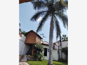 Casa en renta en Burgos Bugambilias, Temixco — foto 2 de 48