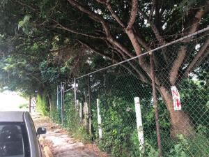 Terreno en venta en El Morro las Colonias, Boca del Río — foto 2 de 3