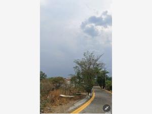 Terreno en venta en Burgos, Temixco — foto 3 de 6