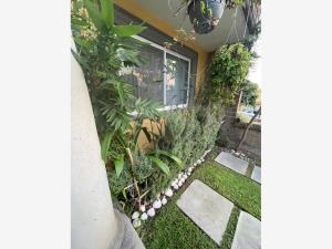Casa en venta en Burgos, Temixco — foto 2 de 20
