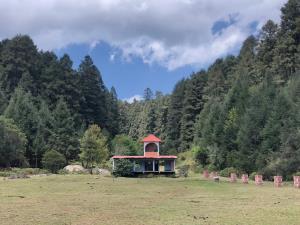 Terreno en venta en Mineral del Monte Centro, Mineral del Monte — foto 3 de 10