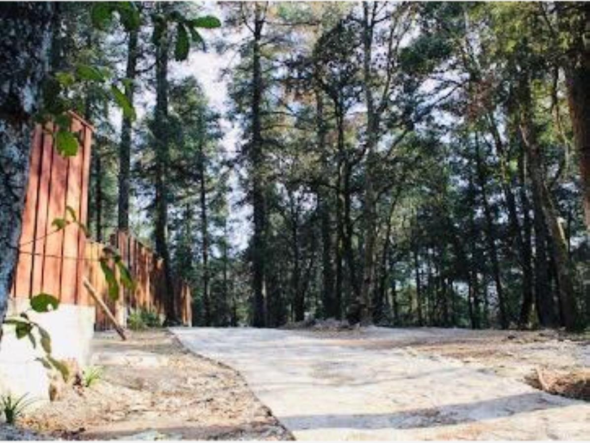 Terreno en venta en Mineral del Monte Centro, Mineral del Monte — foto 1 de 15