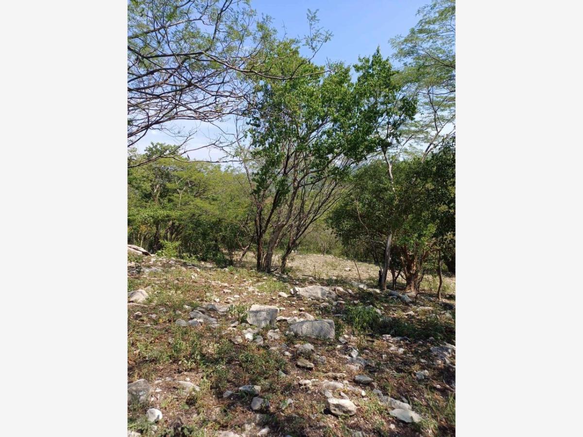 Terreno en venta en Las Bóvedas, Tlaquiltenango — foto 1 de 5