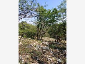 Terreno en venta en Las Bóvedas, Tlaquiltenango, Morelos