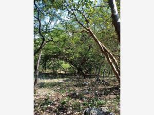 Terreno en venta en Las Bóvedas, Tlaquiltenango — foto 2 de 5