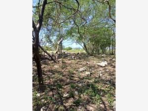 Terreno en venta en Las Bóvedas, Tlaquiltenango — foto 3 de 5