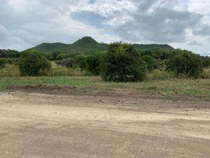 Terreno en venta en Hacienda los Azahares, Montemorelos — foto 3 de 4