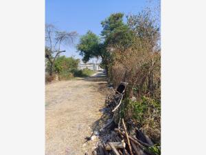 Terreno en venta en Jojutla Centro, Jojutla — foto 3 de 6