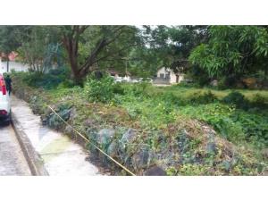 Terreno en venta en Tantima, Tantima — foto 2 de 9