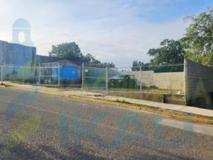 Terreno en renta en INFONAVIT Los Naranjos, Martínez de la Torre — foto 3 de 6