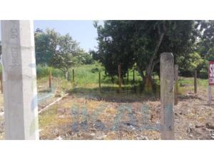Terreno en venta en Cazones de Herrera Centro, Cazones de Herrera — foto 2 de 14