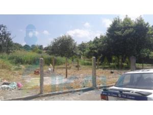 Terreno en venta en Cazones de Herrera Centro, Cazones de Herrera — foto 3 de 14