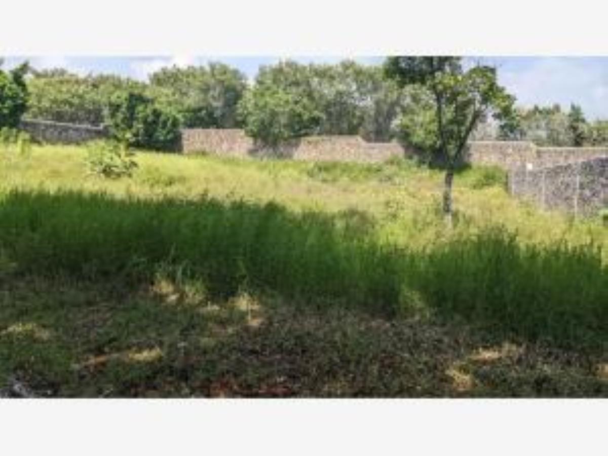Terreno en venta en Lomas de Vista Hermosa, Cuernavaca — foto 1 de 7