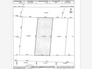 Terreno en venta en Lomas de Vista Hermosa, Cuernavaca — foto 2 de 7