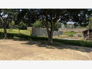 Terreno en venta en Lomas de Vista Hermosa, Cuernavaca — foto 3 de 7