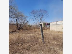 Terreno en venta en Tlatenchi, Jojutla — foto 2 de 3