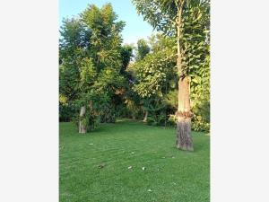 Terreno en venta en Acapatzingo, Cuernavaca, Morelos Terreno en venta en Acapatzingo, Cuernavaca, Morelos