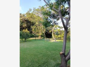 Terreno en venta en Acapatzingo, Cuernavaca — foto 2 de 7