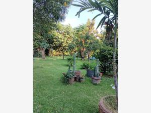 Terreno en venta en Acapatzingo, Cuernavaca — foto 3 de 7