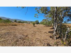 Terreno en venta en Viva Cardenas, San Fernando — foto 2 de 7