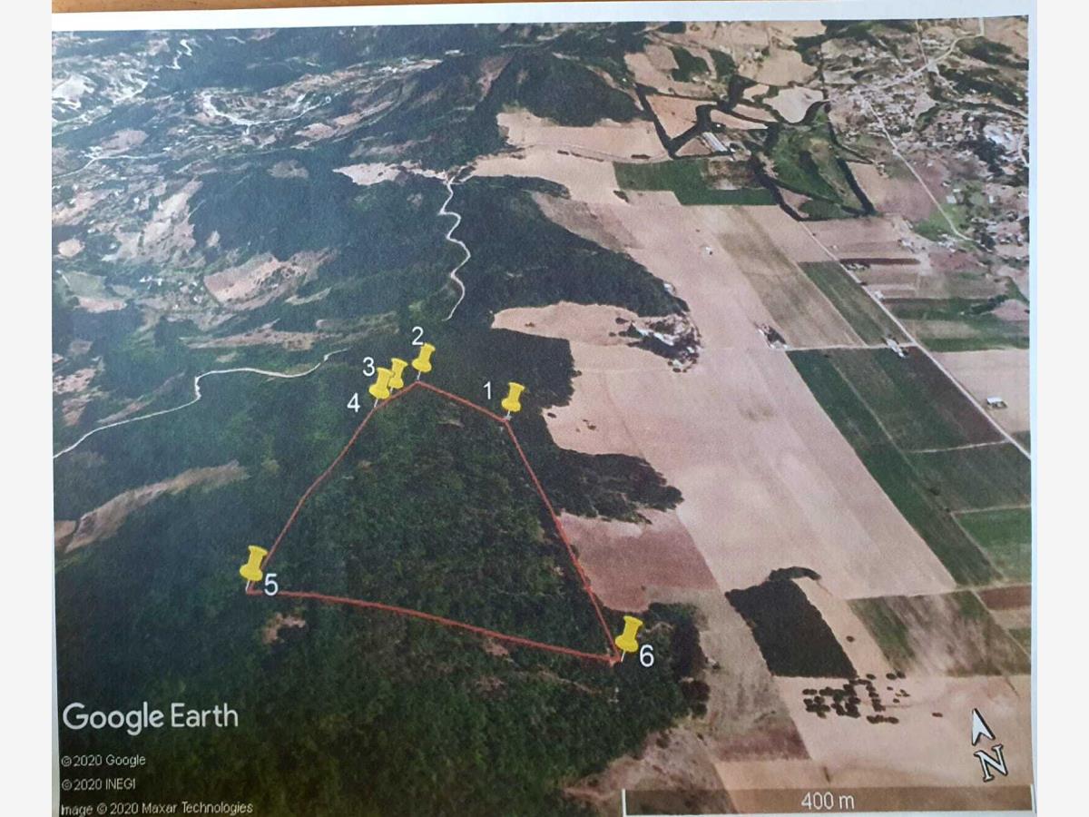 Terreno en venta en El Molino, Zacapoaxtla — foto 1 de 2