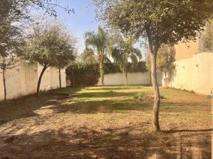 Casa en renta en San Isidro, Torreón — foto 3 de 13