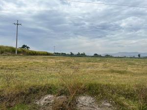 Terreno en venta en Santa Cruz del Astillero, El Arenal — foto 2 de 13