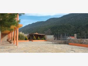 Terreno en venta en La Ciruela, Arteaga — foto 2 de 42