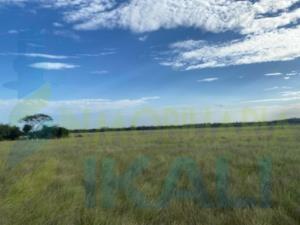 Terreno en venta en La Mata, Tuxpan — foto 3 de 11