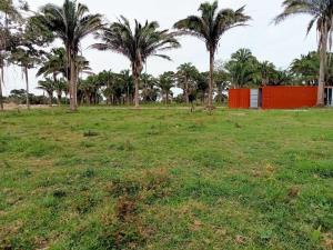 Terreno en venta en Paso del Toro, Medellín de Bravo — foto 2 de 9