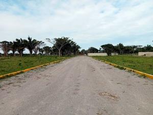 Terreno en venta en Paso del Toro, Medellín de Bravo — foto 3 de 9