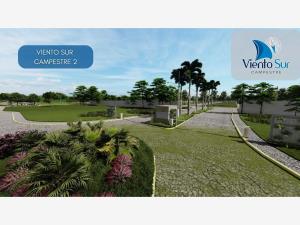 Terreno en venta en Paso del Toro, Medellín de Bravo, Veracruz de Ignacio de la Llave