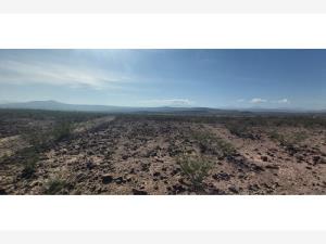 Terreno en venta en Saltillo Centro, Saltillo, Coahuila de Zaragoza