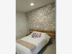 Casa en renta en Xodhé, Cadereyta de Montes — foto 2 de 12