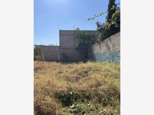 Terreno en venta en Nuevo Mexico, San Jacinto Amilpas — foto 2 de 12