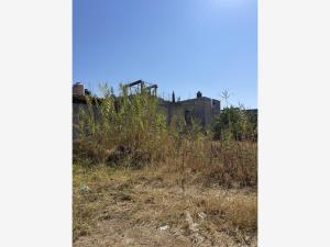 Terreno en venta en Nuevo Mexico, San Jacinto Amilpas — foto 3 de 12