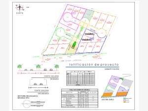 Terreno en venta en Ejido Ana, Torreón — foto 2 de 4