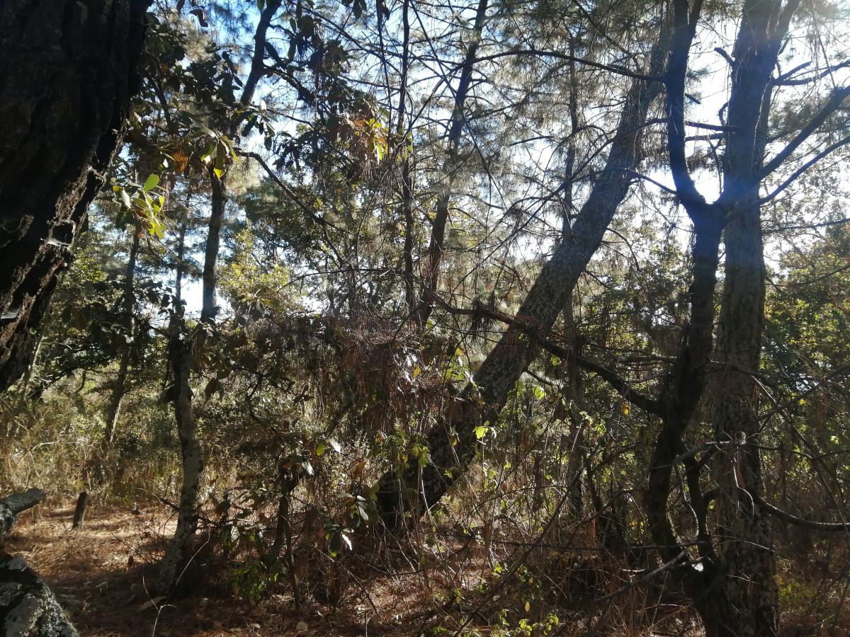 Terreno en venta en Tzintzuntzita, Tzintzuntzán — foto 1 de 13