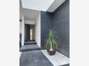 Casa en venta en San Andrés Cholula Centro, San Andrés Cholula — foto 2 de 10